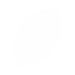 NFL